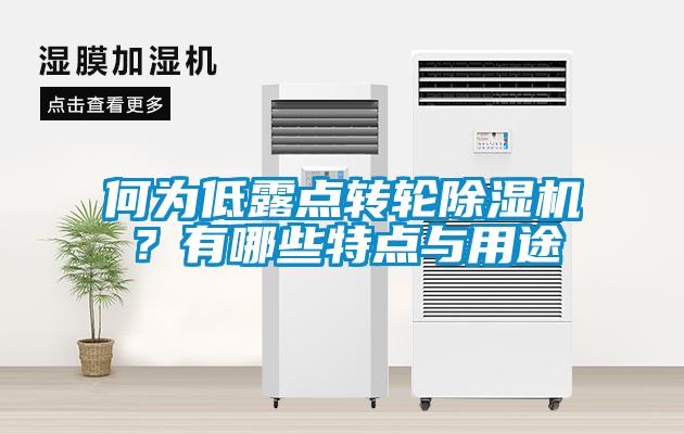 何為低露點轉輪除濕機？有哪些特點與用途
