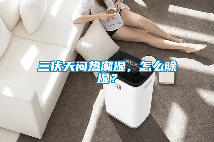 三伏天悶熱潮濕，怎么除濕？