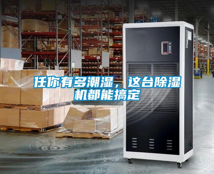 任你有多潮濕，這臺除濕機都能搞定