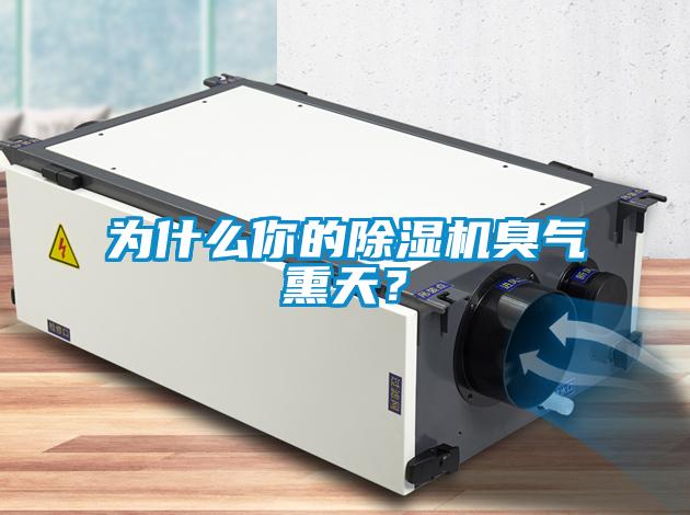 為什么你的除濕機(jī)臭氣熏天？