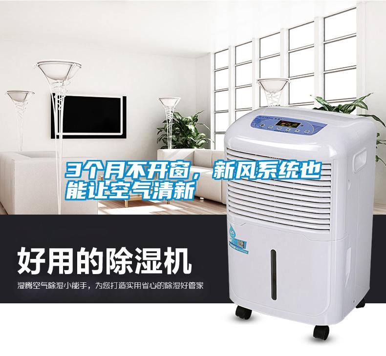 3個月不開窗，新風系統也能讓空氣清新