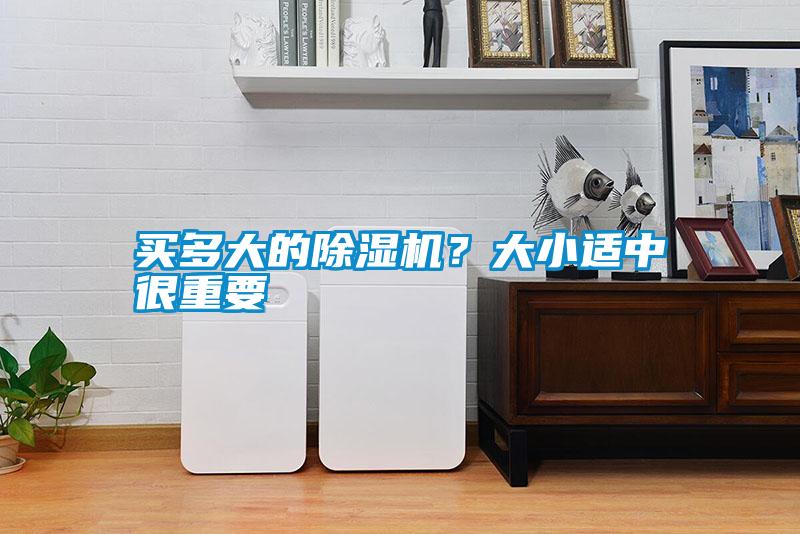 買多大的除濕機？大小適中很重要