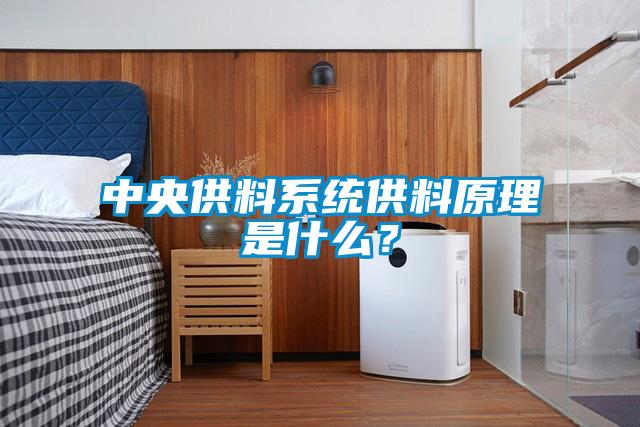 中央供料系統供料原理是什么？
