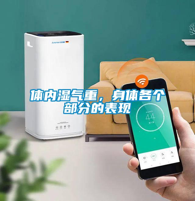 體內濕氣重，身體各個部分的表現
