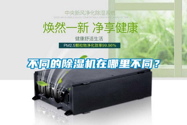 不同的除濕機在哪里不同？
