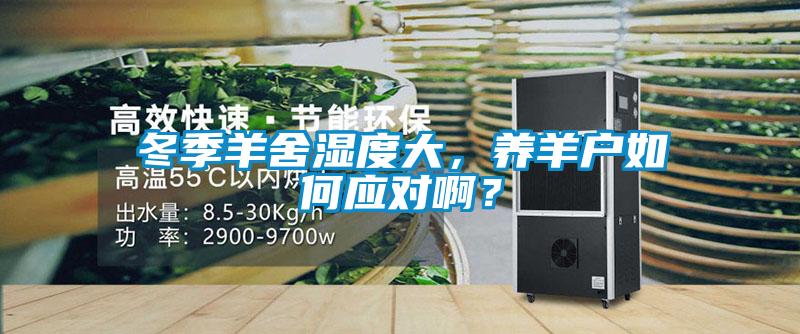 冬季羊舍濕度大，養羊戶如何應對?。?/></p>
						    <p style=