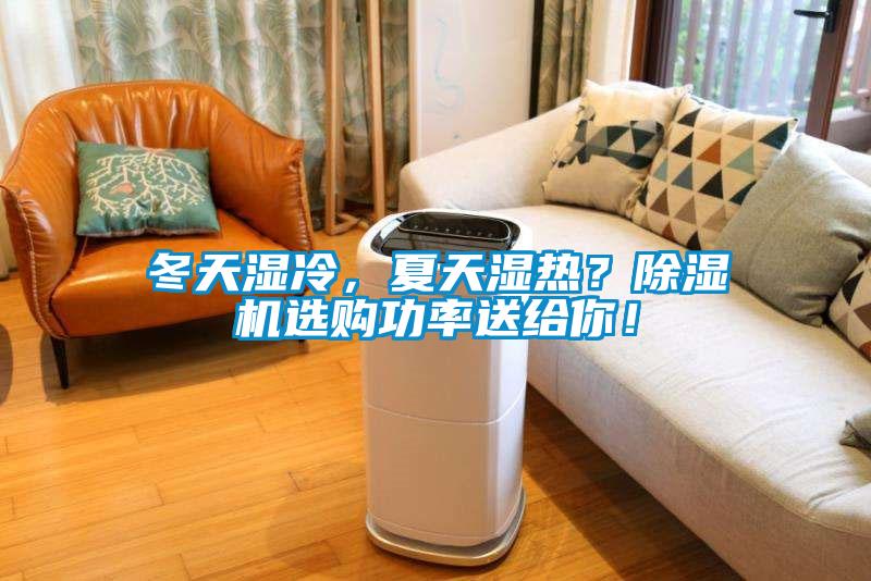 冬天濕冷，夏天濕熱？除濕機選購功率送給你！