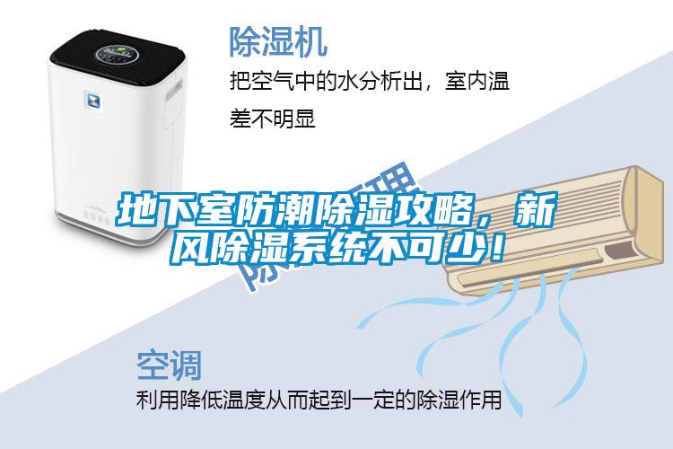 地下室防潮除濕攻略，新風除濕系統(tǒng)不可少！
