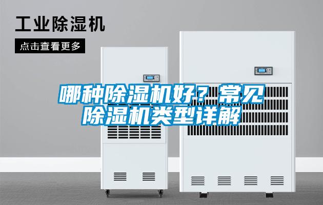 哪種除濕機好？常見除濕機類型詳解