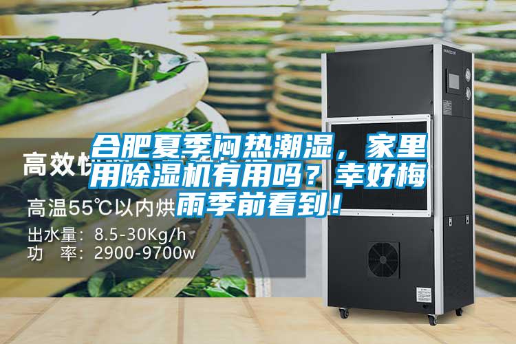 合肥夏季悶熱潮濕，家里用除濕機(jī)有用嗎？幸好梅雨季前看到！