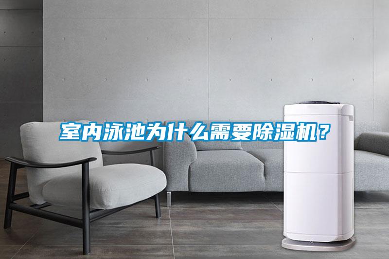室內泳池為什么需要除濕機？