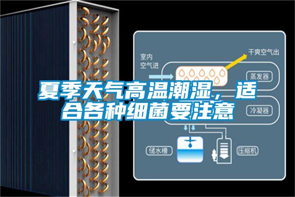 夏季天氣高溫潮濕，適合各種細菌要注意