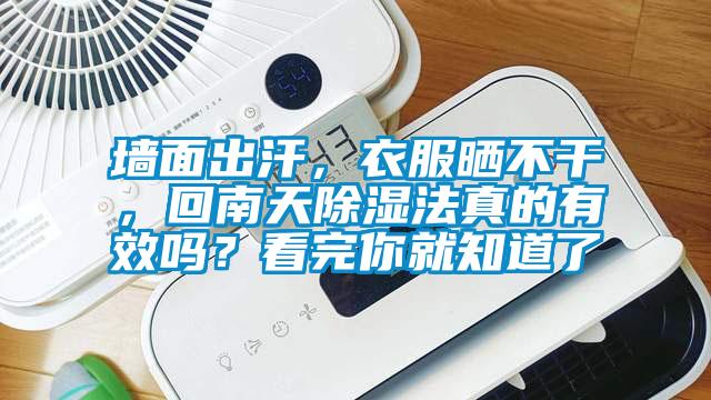 墻面出汗，衣服曬不干，回南天除濕法真的有效嗎？看完你就知道了