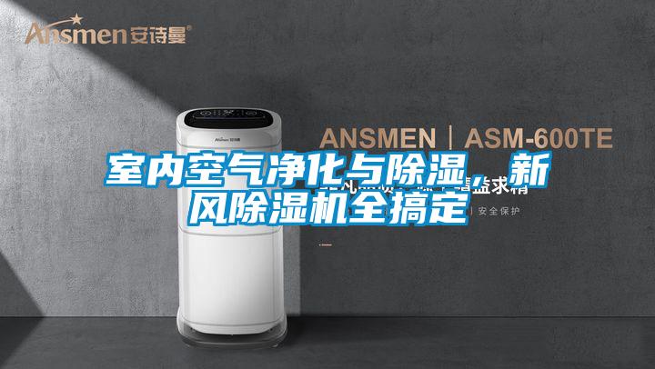 室內(nèi)空氣凈化與除濕,新風除濕機全搞定