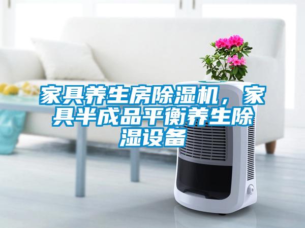 家具養生房除濕機，家具半成品平衡養生除濕設備