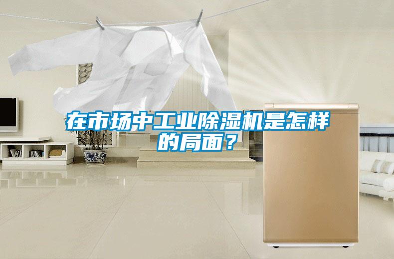 在市場中工業除濕機是怎樣的局面？