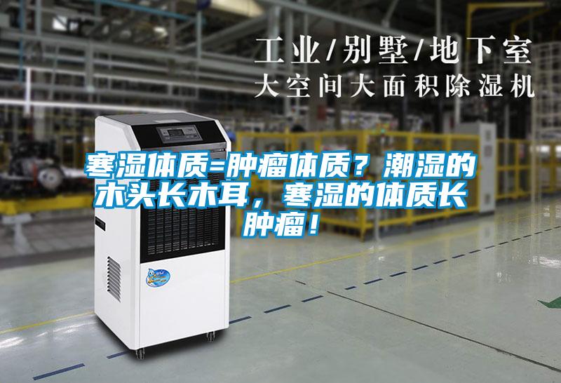 寒濕體質=腫瘤體質？潮濕的木頭長木耳，寒濕的體質長腫瘤！