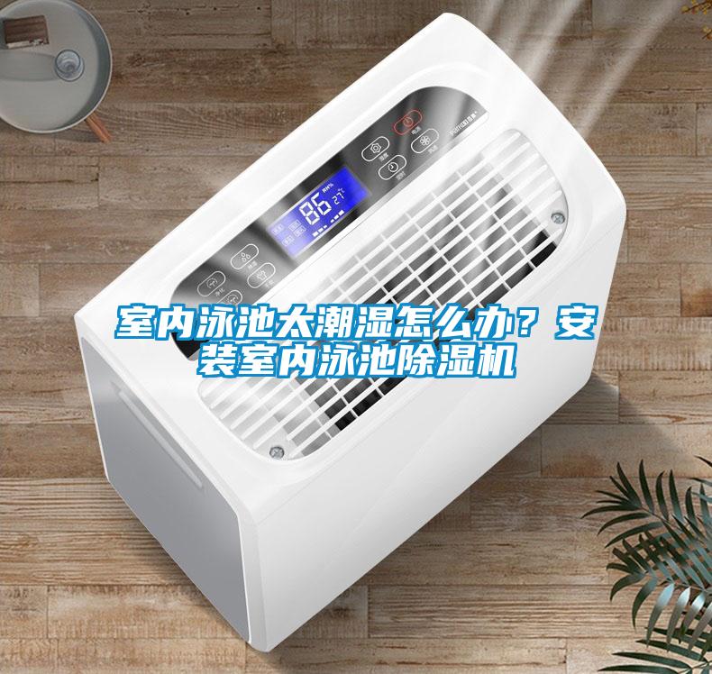 室內泳池太潮濕怎么辦？安裝室內泳池除濕機