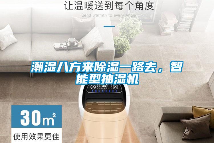 智能觸控除濕機(jī),智能除濕無須等待