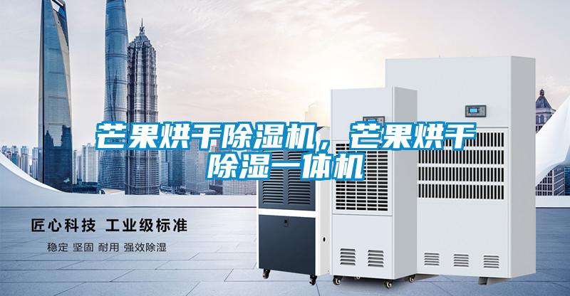 芒果烘干除濕機，芒果烘干除濕一體機