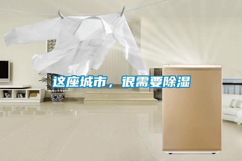 這座城市，很需要除濕
