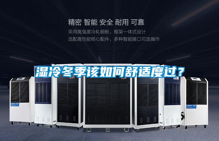 濕冷冬季該如何舒適度過？