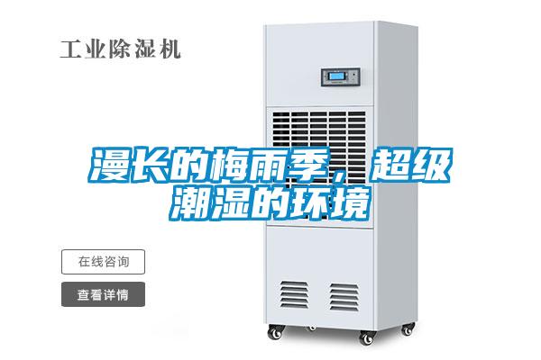 漫長的梅雨季，超級潮濕的環境