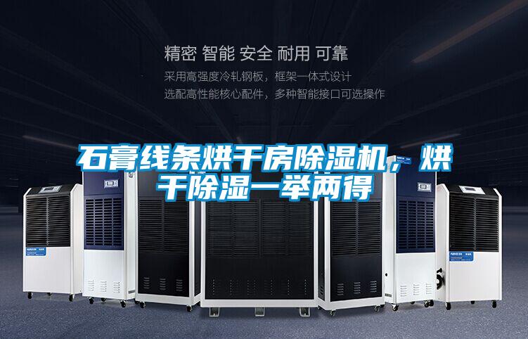 石膏線條烘干房除濕機(jī),烘干除濕一舉兩得