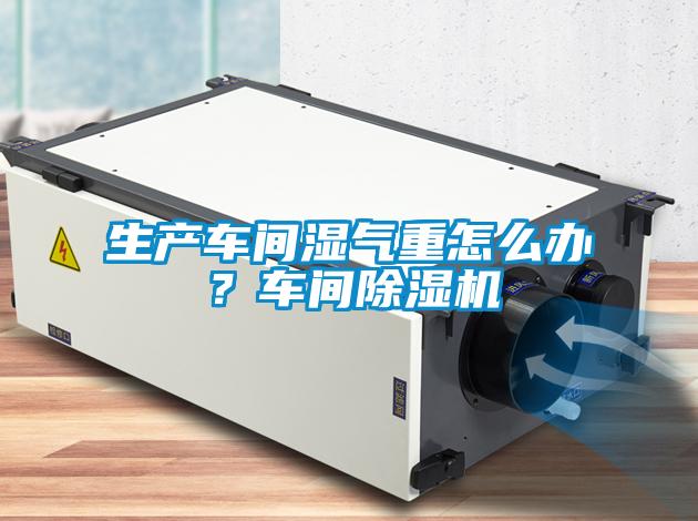 生產(chǎn)車間濕氣重怎么辦？車間除濕機(jī)