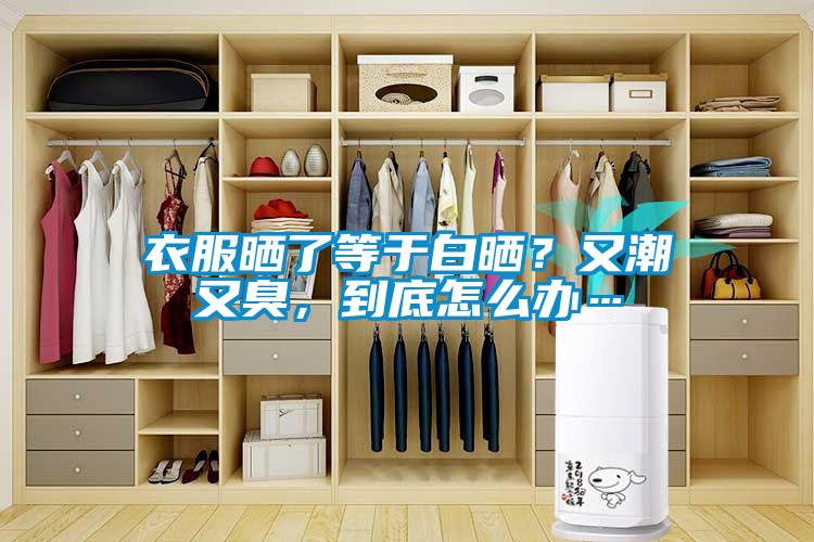 衣服曬了等于白曬？又潮又臭，到底怎么辦…