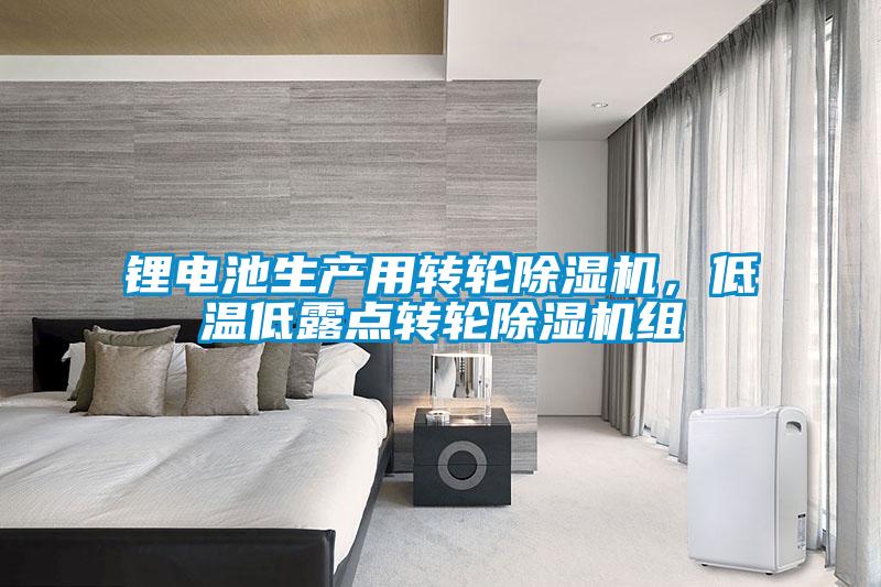 鋰電池生產(chǎn)用轉(zhuǎn)輪除濕機(jī)，低溫低露點(diǎn)轉(zhuǎn)輪除濕機(jī)組