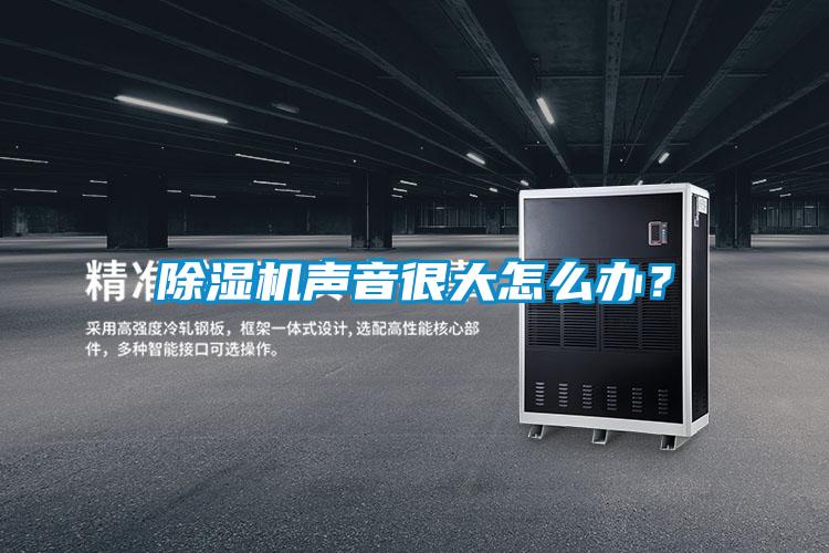 除濕機聲音很大怎么辦?