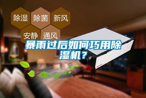 暴雨過后如何巧用除濕機？