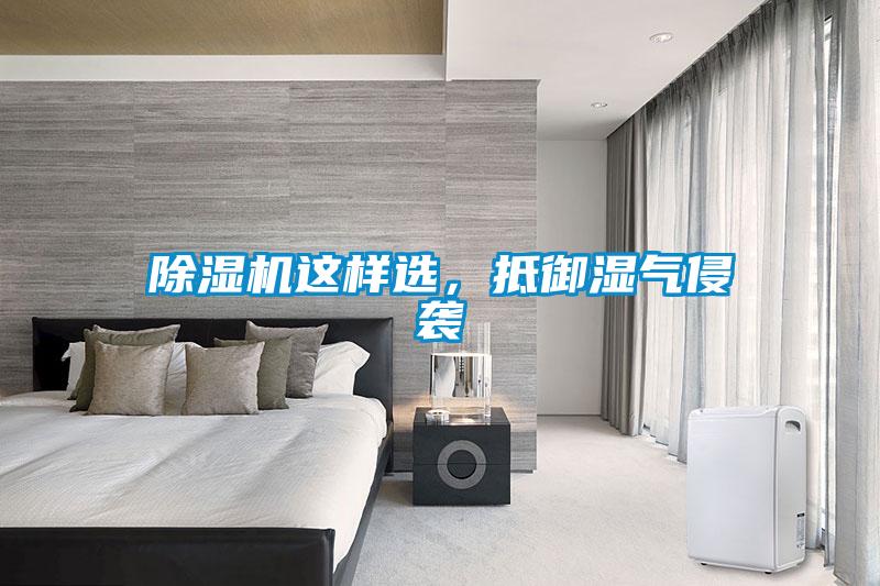 除濕機這樣選，抵御濕氣侵襲