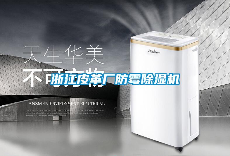 浙江皮革廠防霉除濕機