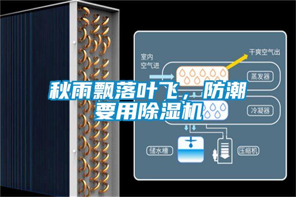 秋雨飄落葉飛，防潮要用除濕機