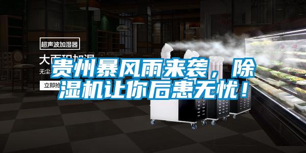 貴州暴風(fēng)雨來襲，除濕機(jī)讓你后患無憂！