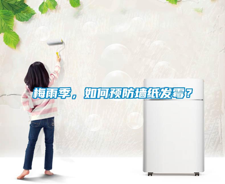 梅雨季，如何預(yù)防墻紙發(fā)霉？