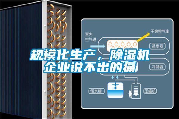 規(guī)模化生產，除濕機企業(yè)說不出的痛