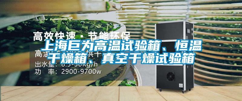 上海巨為高溫試驗(yàn)箱、恒溫干燥箱、真空干燥試驗(yàn)箱