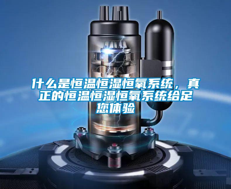 什么是恒溫恒濕恒氧系統(tǒng)，真正的恒溫恒濕恒氧系統(tǒng)給足您體驗(yàn)