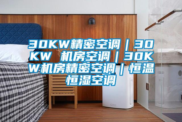 30KW精密空調|30KW 機房空調|30KW機房精密空調|恒溫恒濕空調