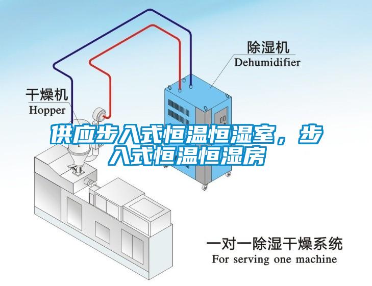 供應步入式恒溫恒濕室，步入式恒溫恒濕房