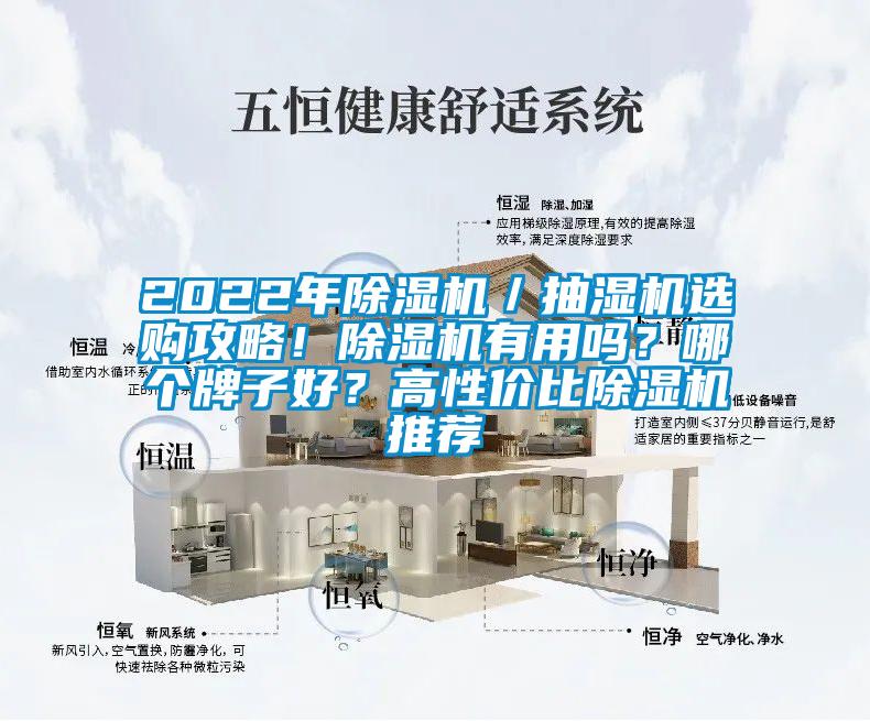 2022年除濕機(jī)／抽濕機(jī)選購攻略！除濕機(jī)有用嗎？哪個(gè)牌子好？高性價(jià)比除濕機(jī)推薦