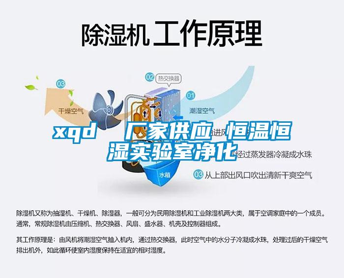 xqd 廠家供應 恒溫恒濕實驗室凈化
