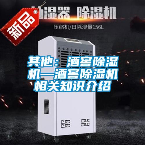 其他:酒窖除濕機—酒窖除濕機相關(guān)知識介紹