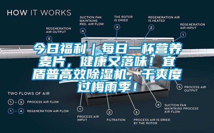 今日福利｜每日一杯營養(yǎng)麥片，健康又落味！宜盾普高效除濕機(jī)，干爽度過梅雨季！