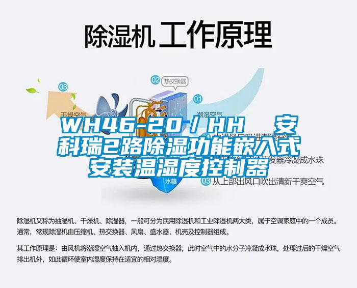 WH46-20/HH 安科瑞2路除濕功能嵌入式安裝溫濕度控制器