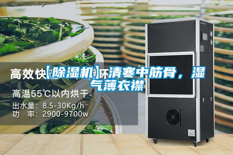 【除濕機】清寒中筋骨，濕氣薄衣襟