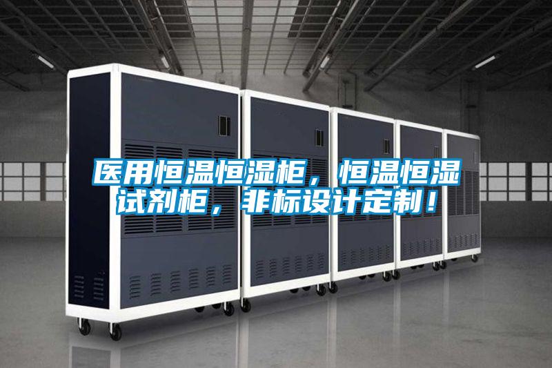 醫用恒溫恒濕柜,恒溫恒濕試劑柜,非標設計定制!